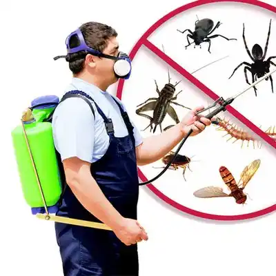 pest control Morrisonville